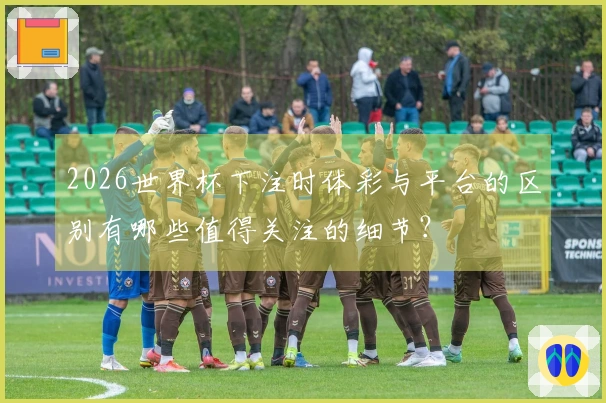 2026世界杯下注时体彩与平台的区别有哪些值得关注的细节？
