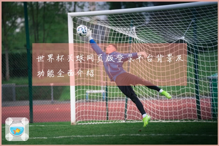 世界杯买球网页版登录平台背景及功能全面介绍