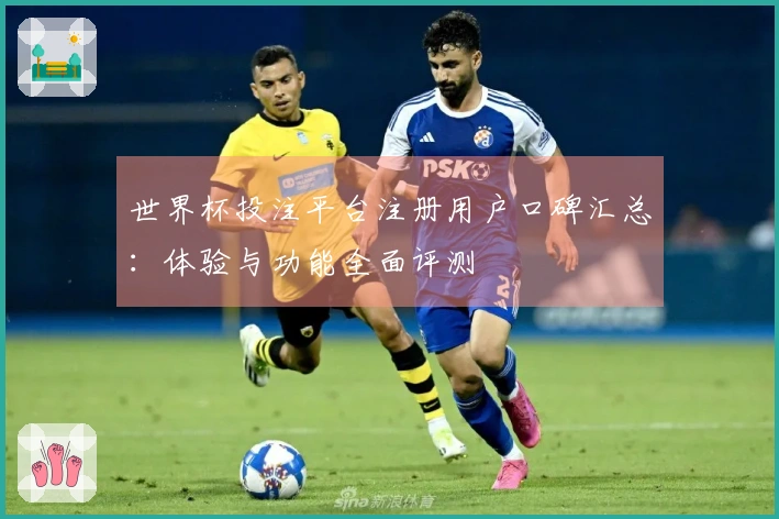 世界杯投注平台注册用户口碑汇总：体验与功能全面评测