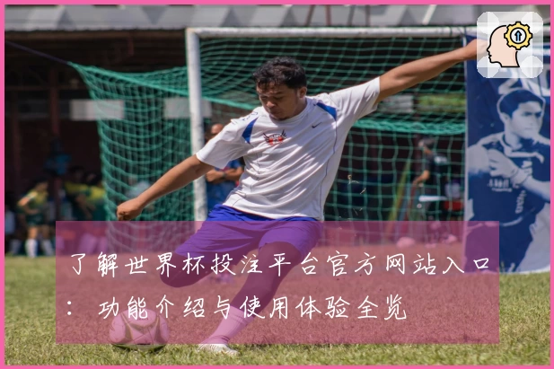 了解世界杯投注平台官方网站入口：功能介绍与使用体验全览