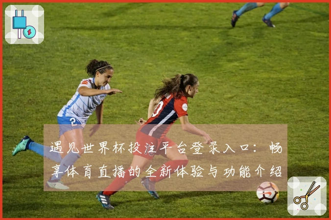 遇见世界杯投注平台登录入口：畅享体育直播的全新体验与功能介绍