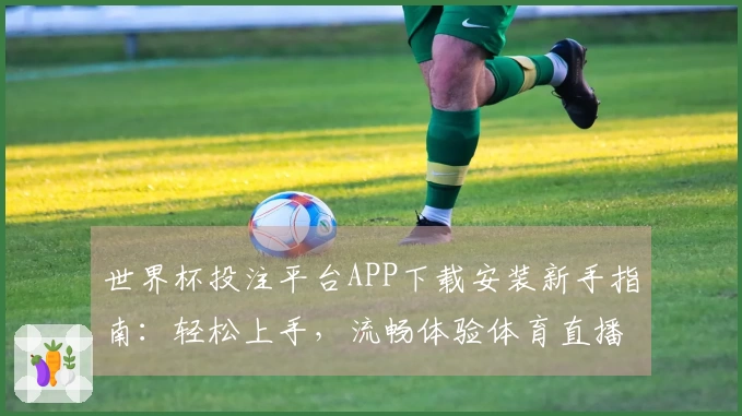 世界杯投注平台APP下载安装新手指南：轻松上手，流畅体验体育直播