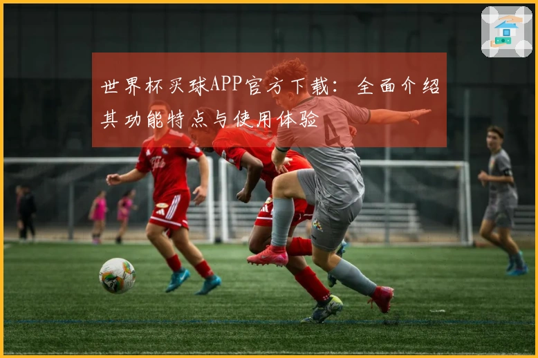 世界杯买球APP官方下载：全面介绍其功能特点与使用体验