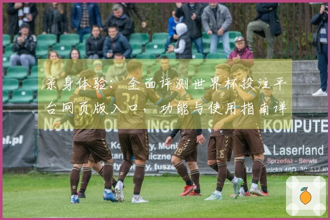 亲身体验：全面评测世界杯投注平台网页版入口，功能与使用指南详尽解读