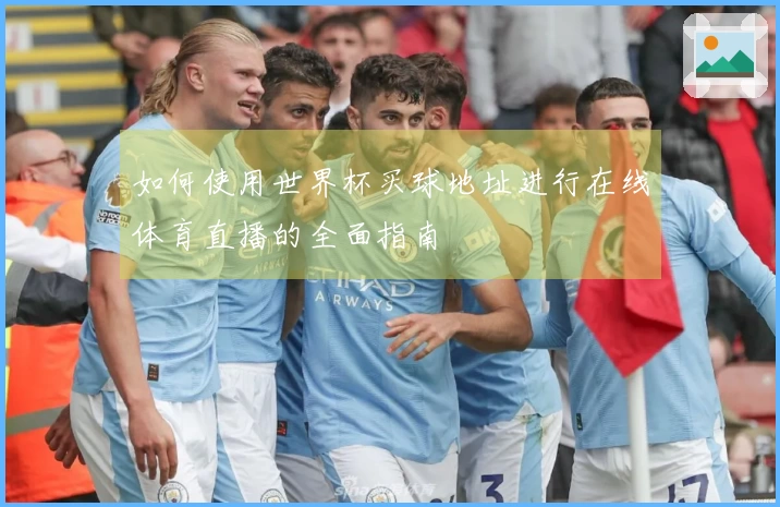 如何使用世界杯买球地址进行在线体育直播的全面指南