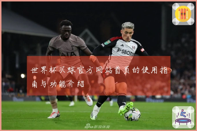 世界杯买球官方网站首页的使用指南与功能介绍