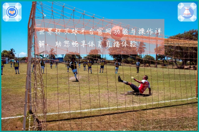 世界杯买球平台官网功能与操作详解，助您畅享体育直播体验