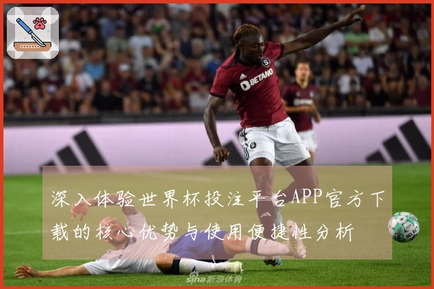 深入体验世界杯投注平台APP官方下载的核心优势与使用便捷性分析