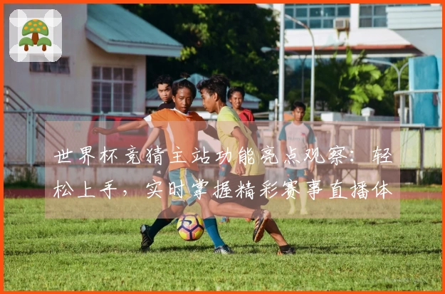 世界杯竞猜主站功能亮点观察：轻松上手，实时掌握精彩赛事直播体验