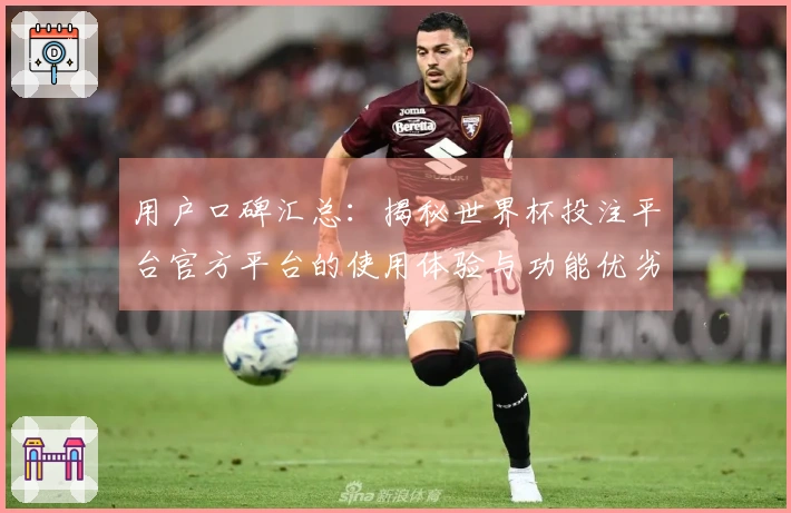用户口碑汇总：揭秘世界杯投注平台官方平台的使用体验与功能优劣
