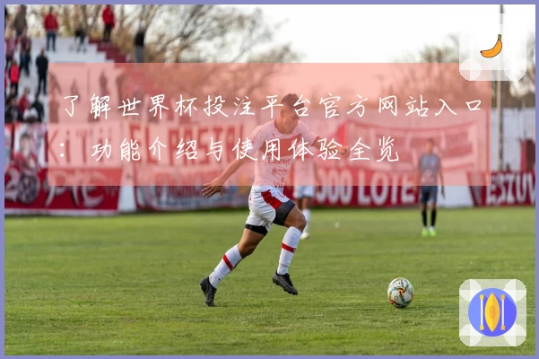 了解世界杯投注平台官方网站入口：功能介绍与使用体验全览