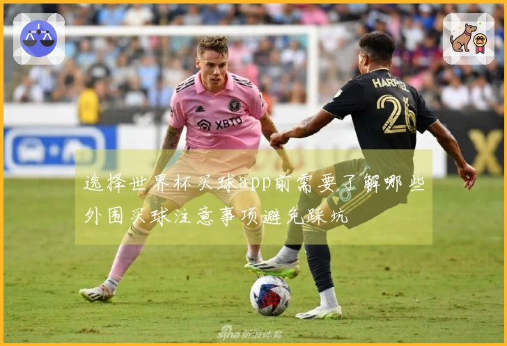 选择世界杯买球app前需要了解哪些外围买球注意事项避免踩坑