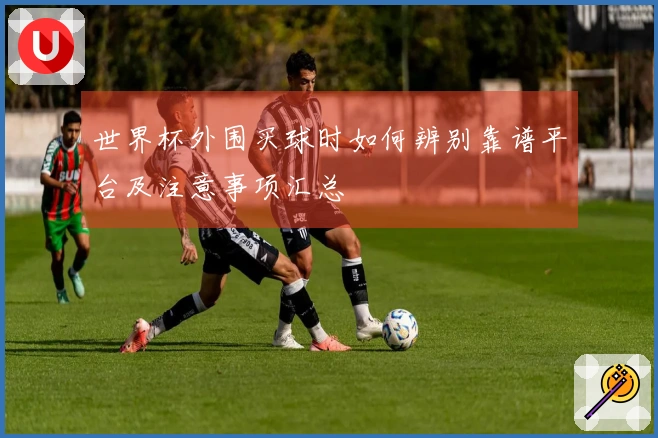 世界杯外围买球时如何辨别靠谱平台及注意事项汇总