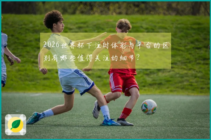 2026世界杯下注时体彩与平台的区别有哪些值得关注的细节？